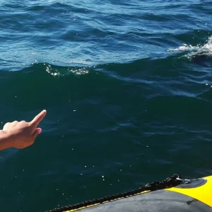 Fast Boat